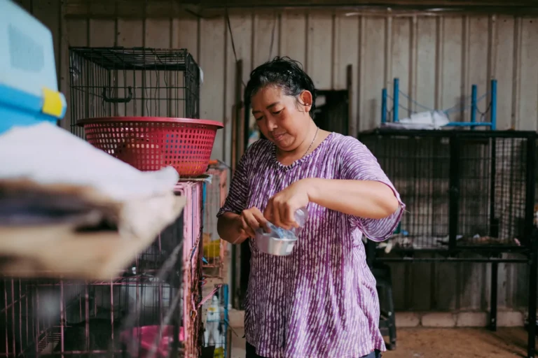 Volunteer caring for animals at a shelter